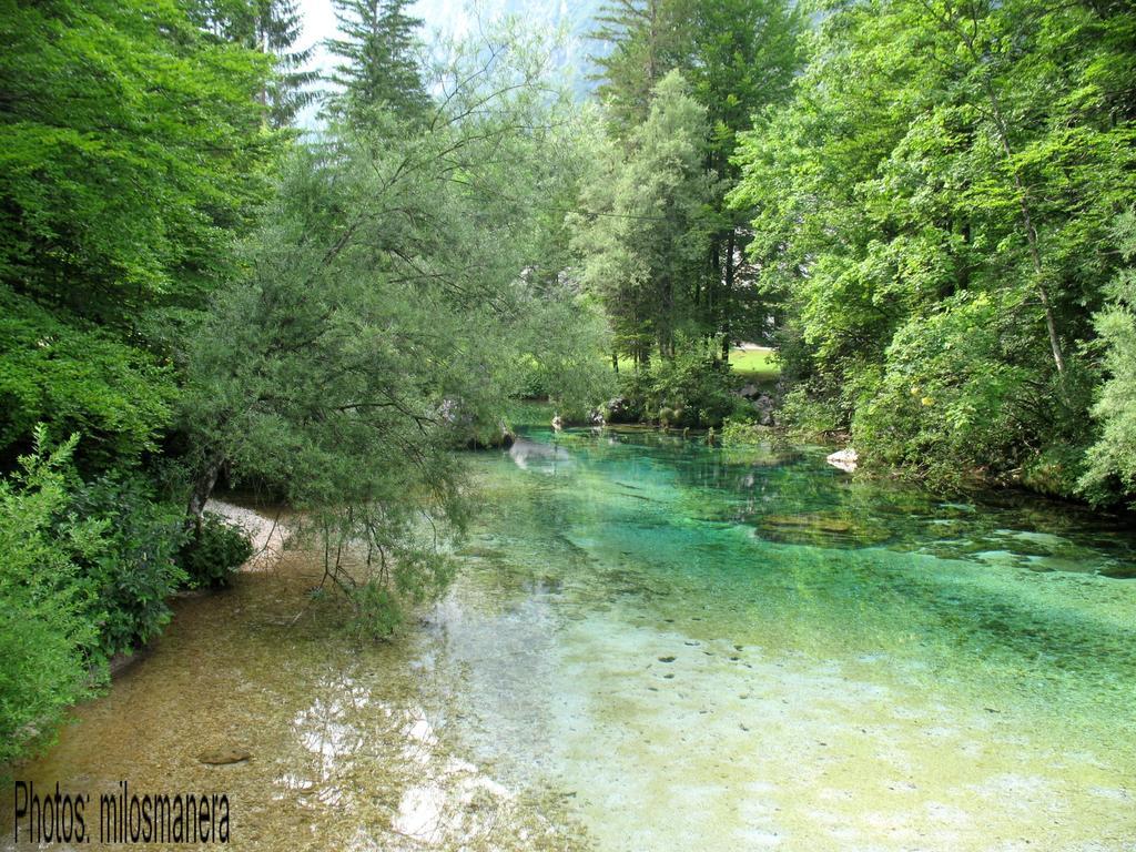Apartament Apartments Lake Bohinj *