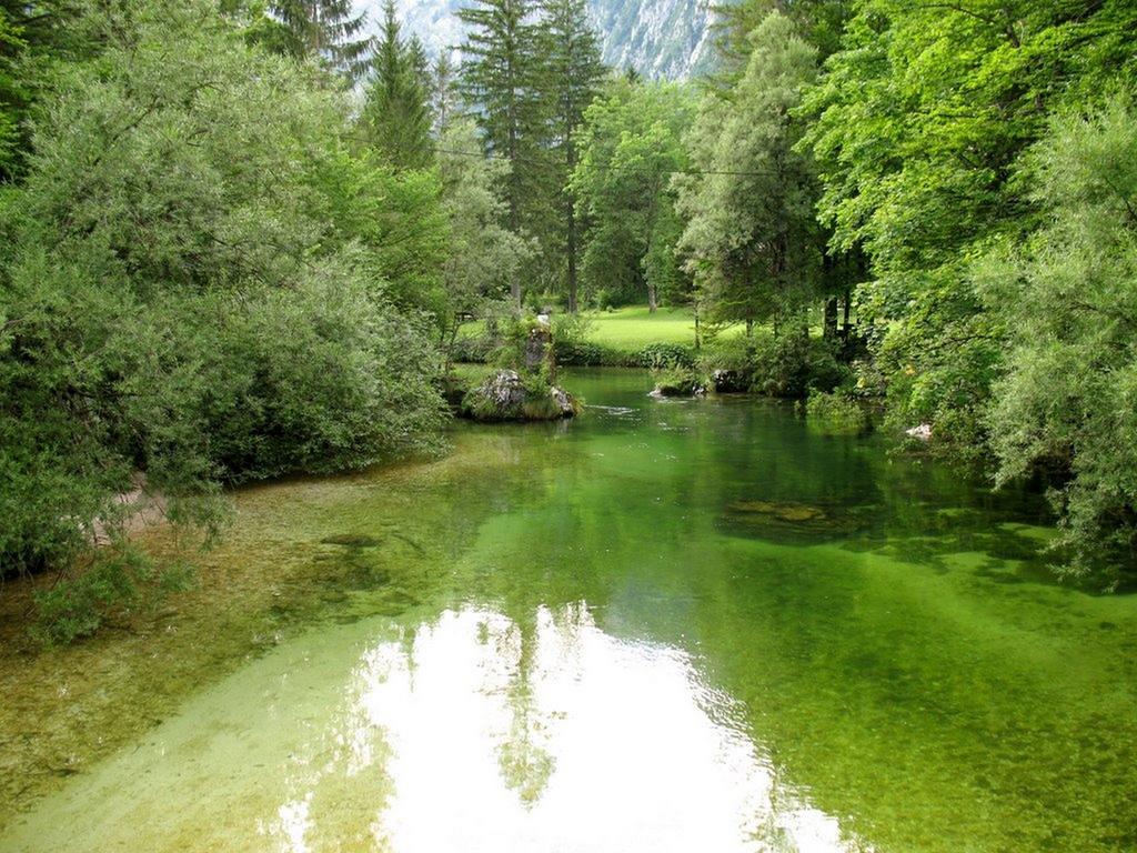 Apartments Lake Bohinj Apartament *