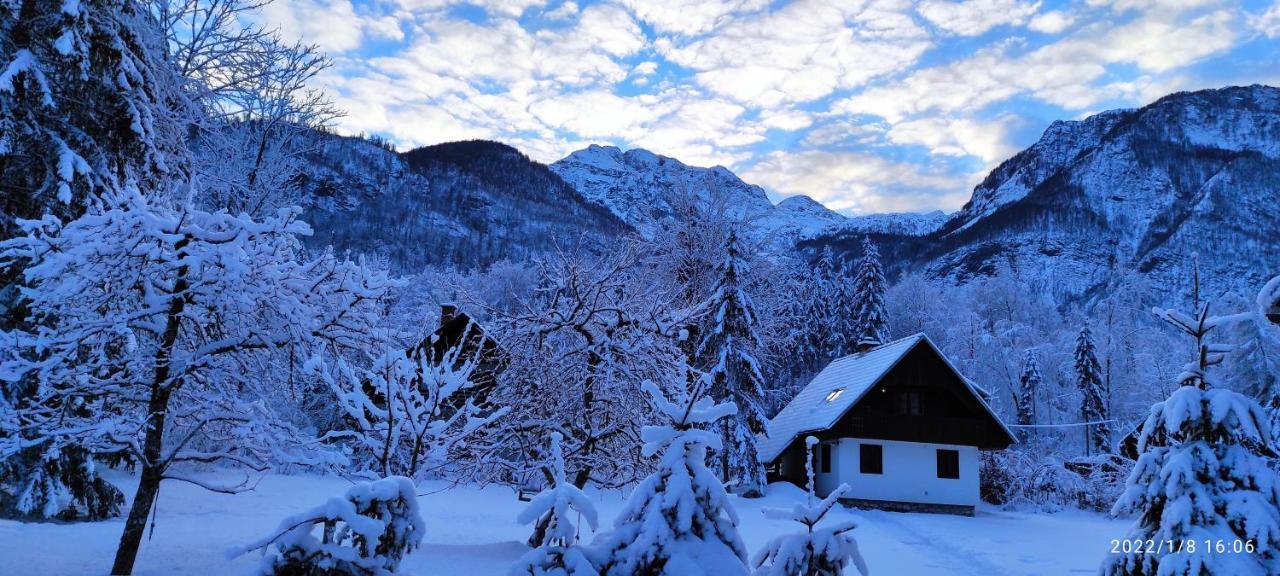 Apartments Lake Bohinj