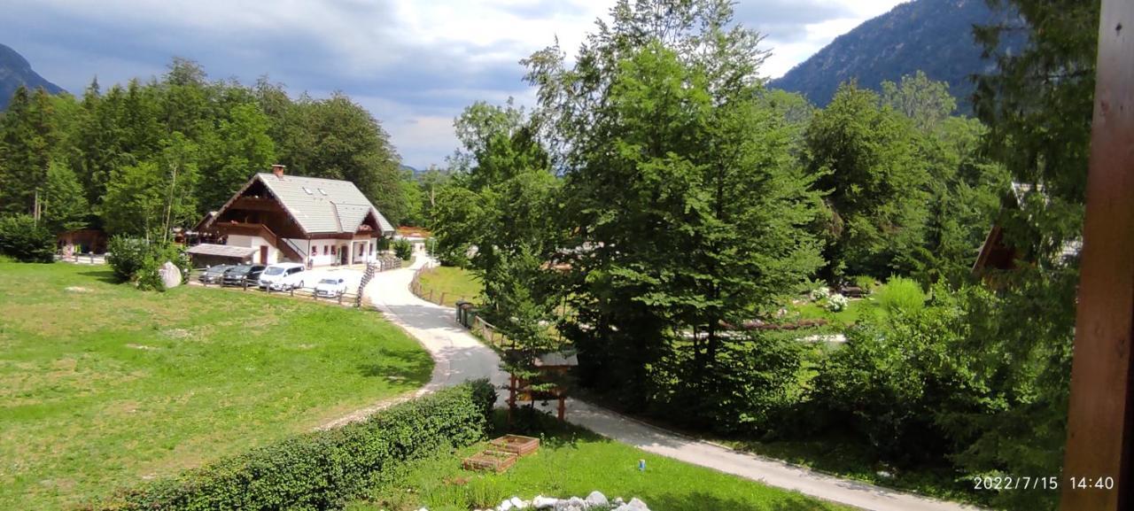 Apartament Apartments Lake Bohinj Bohinj